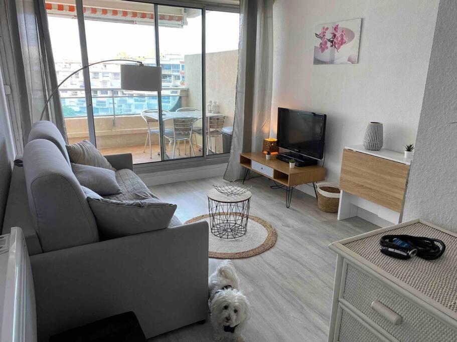 Joli Studio Vue Mer Et Port Mauguio Exterior photo